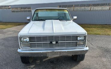 Chevrolet-Other-Pickups-Pickup-1983-4
