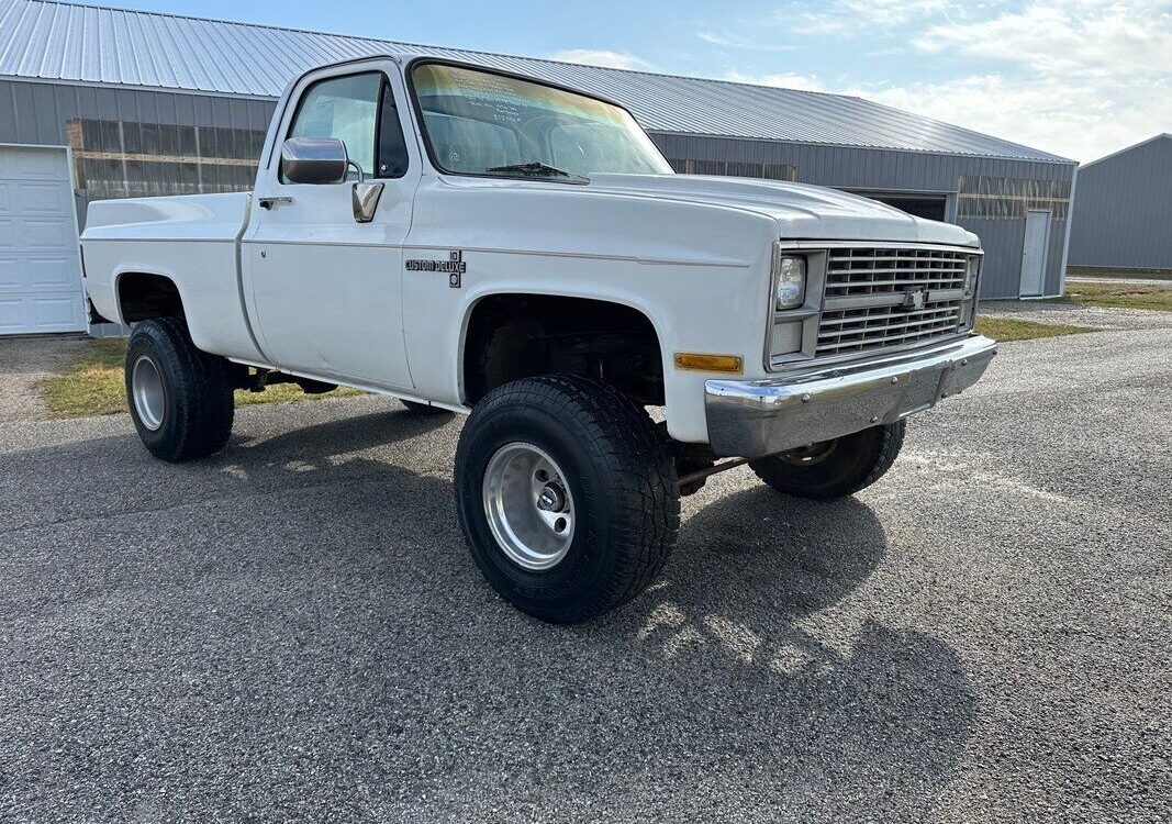 Chevrolet-Other-Pickups-Pickup-1983-5