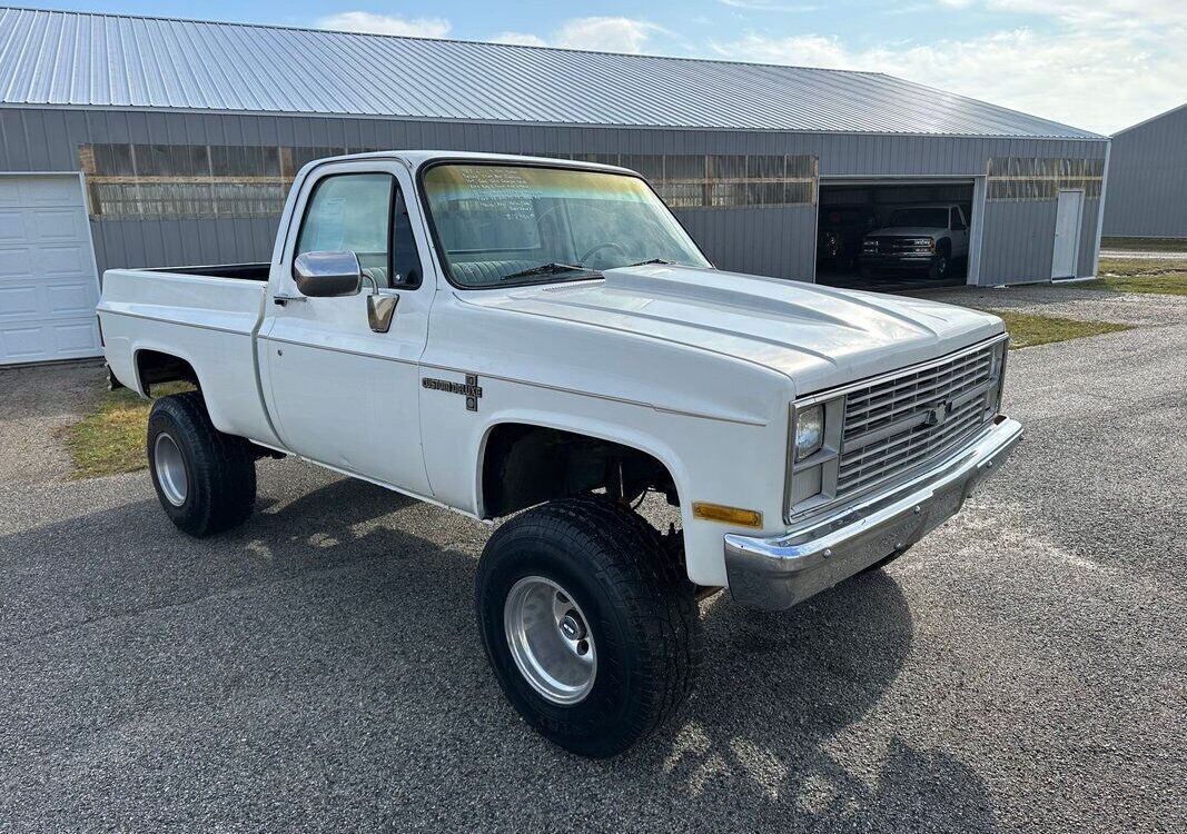 Chevrolet-Other-Pickups-Pickup-1983-6