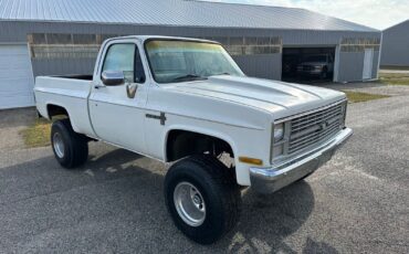 Chevrolet-Other-Pickups-Pickup-1983-6