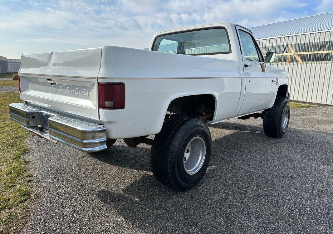 Chevrolet-Other-Pickups-Pickup-1983-8