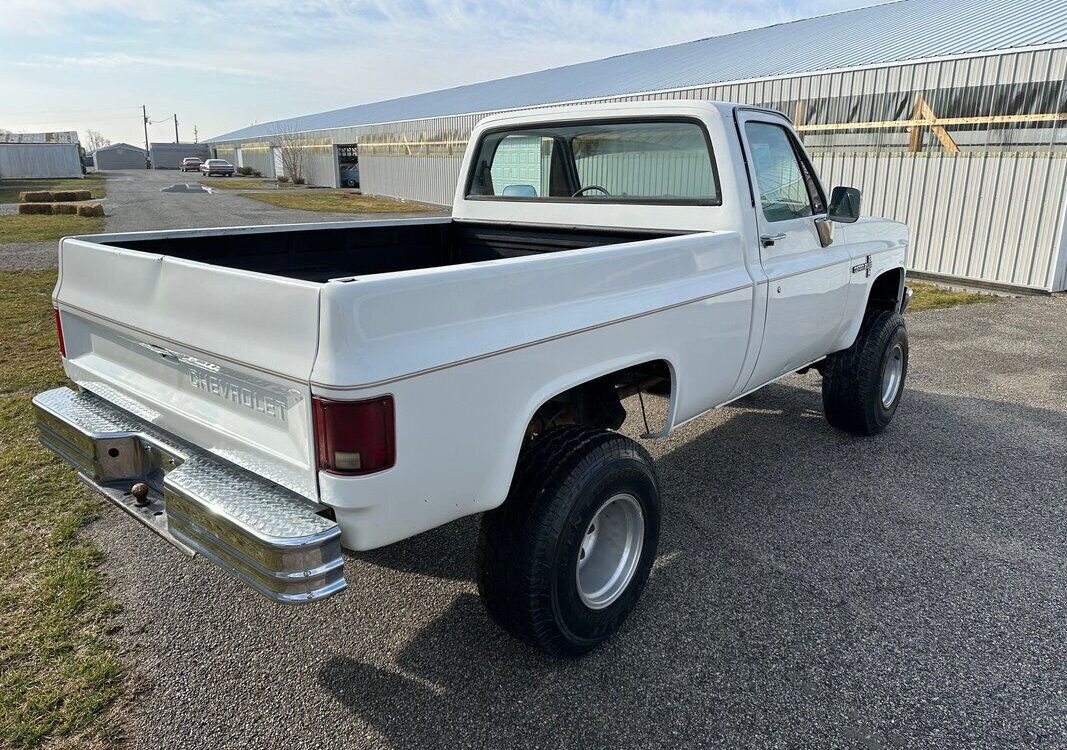 Chevrolet-Other-Pickups-Pickup-1983-9
