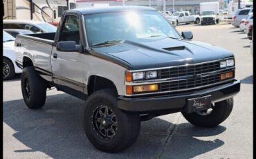 Chevrolet-Other-Pickups-Pickup-1989-4