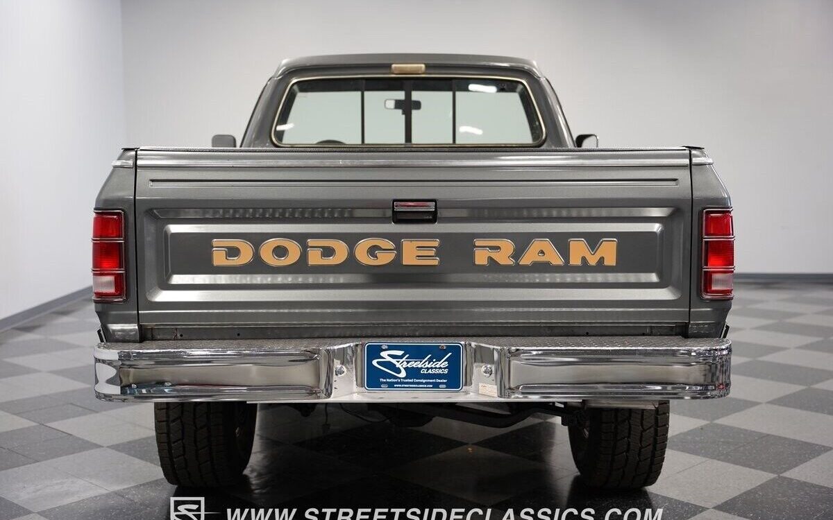 Dodge-Other-Pickups-Pickup-1985-11