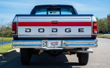 Dodge-Power-RAM-250-1991-4