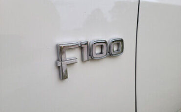 Ford-F-100-Pickup-1982-4