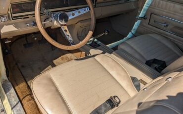 Ford-Fairlane-Cabriolet-1966-13