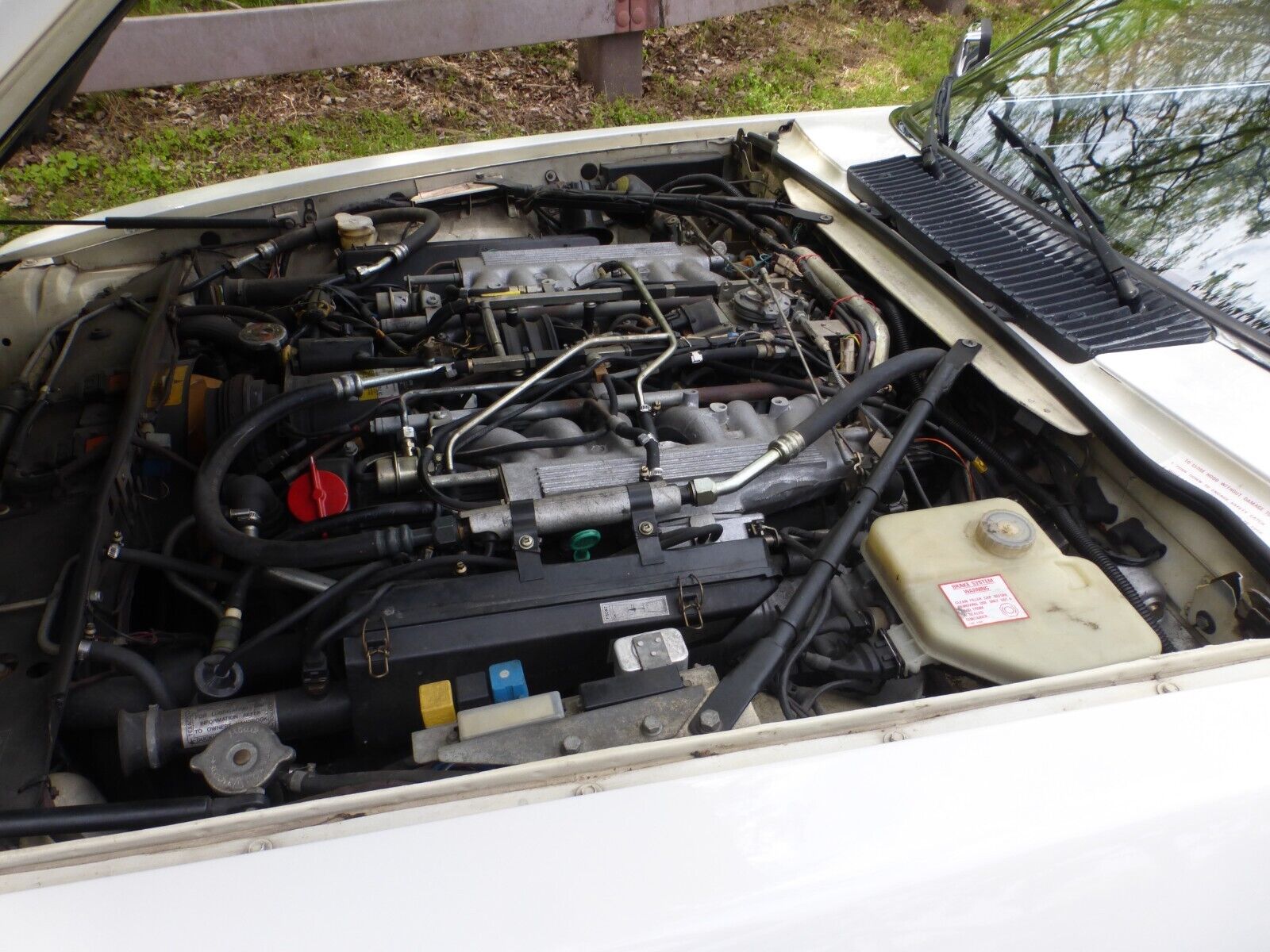 Jaguar-XJS-Cabriolet-1990-14