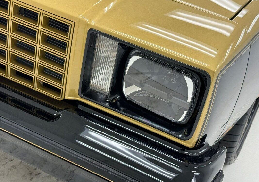 Oldsmobile-Cutlass-1979-9