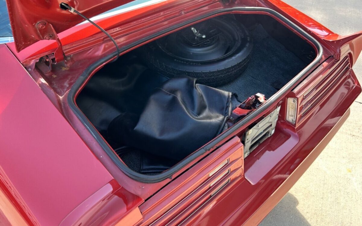 Pontiac-Firebird-Cabriolet-1976-7