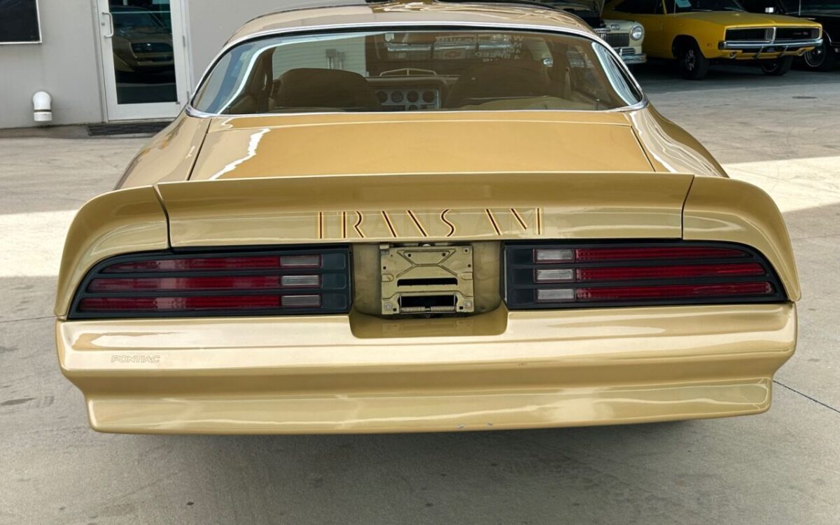 Pontiac-Firebird-Cabriolet-1978-5