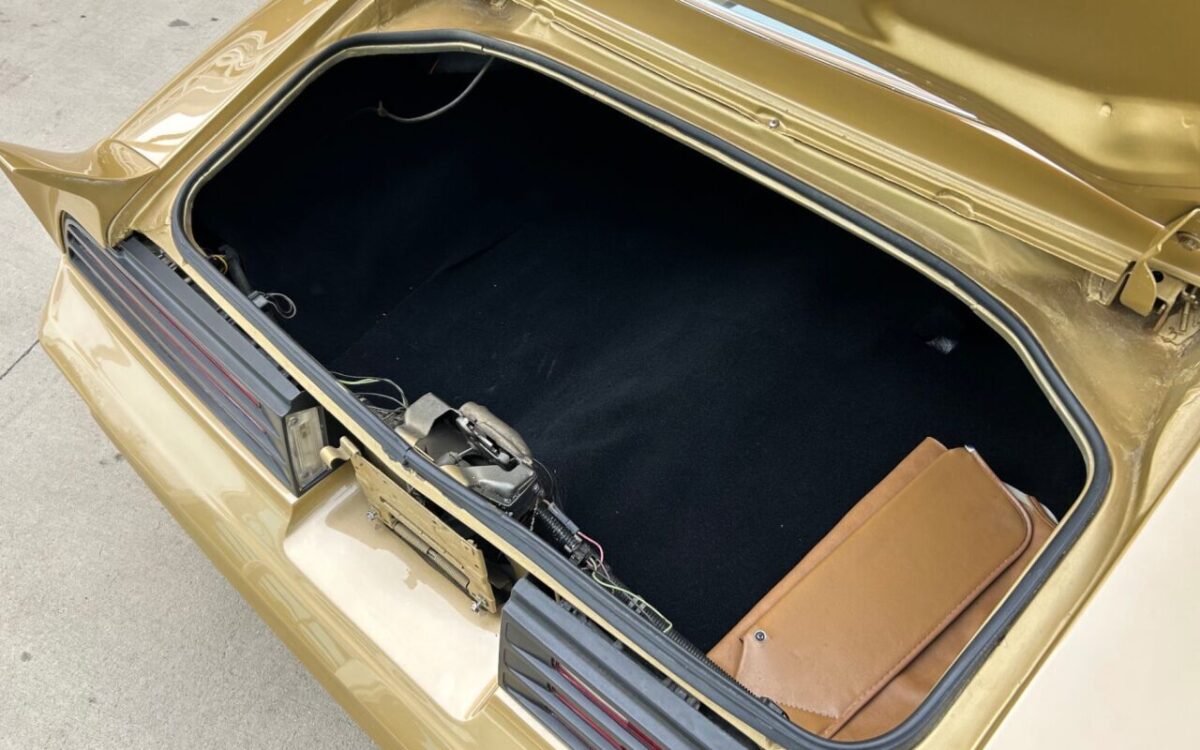 Pontiac-Firebird-Cabriolet-1978-6