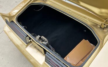 Pontiac-Firebird-Cabriolet-1978-6