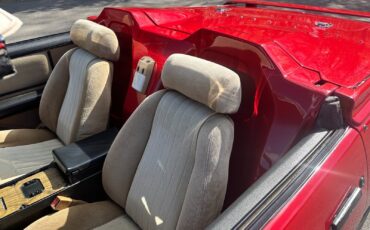 Pontiac-Firebird-Cabriolet-1984-13