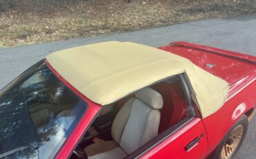 Pontiac-Firebird-Cabriolet-1984-27