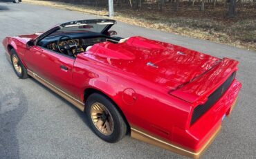 Pontiac-Firebird-Cabriolet-1984-3