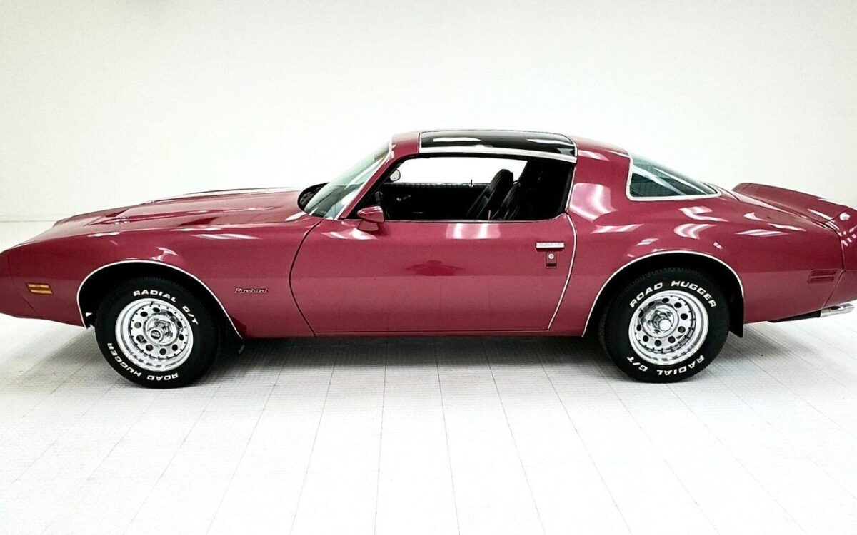Pontiac-Firebird-Coupe-1979-1