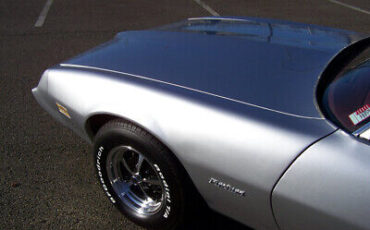 Pontiac-Firebird-Coupe-1979-10