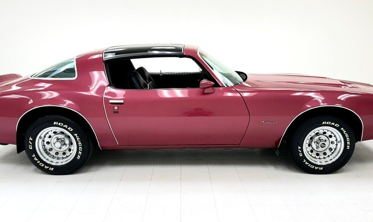 Pontiac-Firebird-Coupe-1979-5