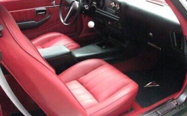 Pontiac-Firebird-Coupe-1981-10