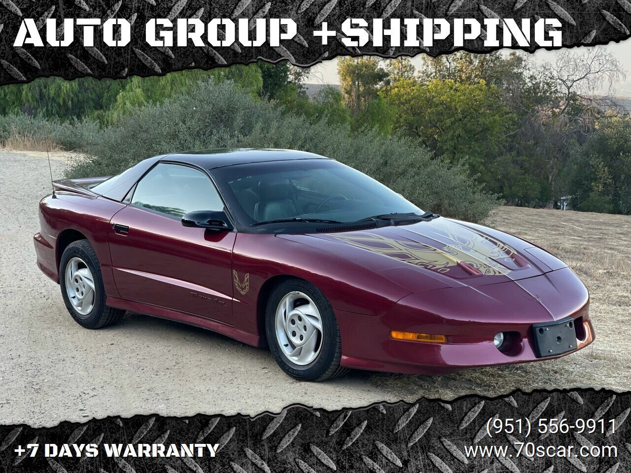 Pontiac Firebird Coupe 1994 à vendre