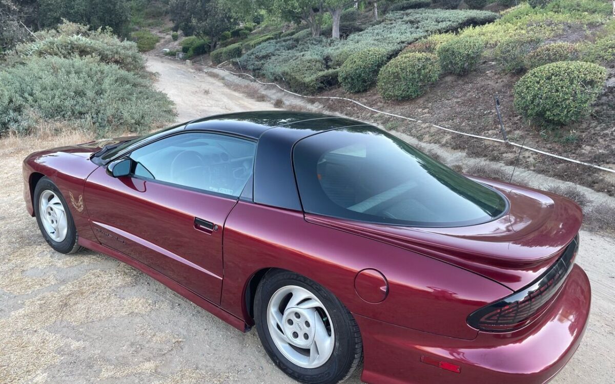 Pontiac-Firebird-Coupe-1994-8