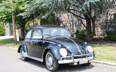 Volkswagen Beetle - Classic  1963