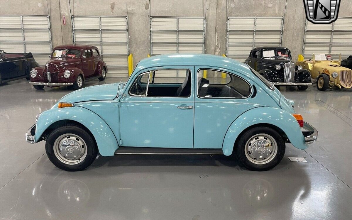 Volkswagen-Beetle-Classic-1973-3
