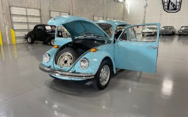 Volkswagen-Beetle-Classic-1973-8
