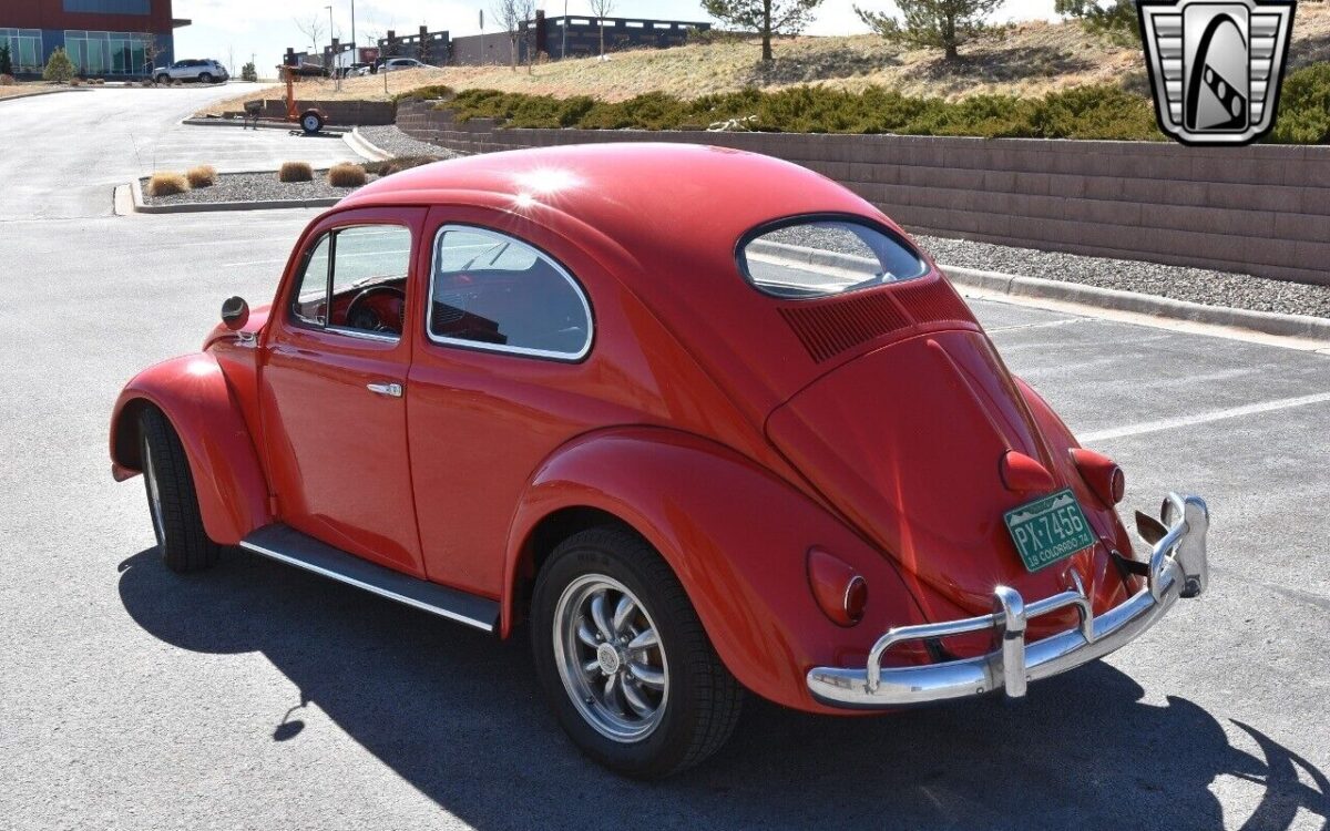 Volkswagen-Beetle-Classic-1974-5
