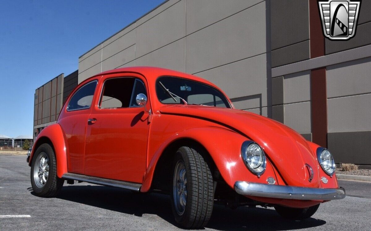 Volkswagen-Beetle-Classic-1974-9