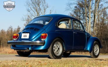 Volkswagen-Beetle-Classic-1977-6