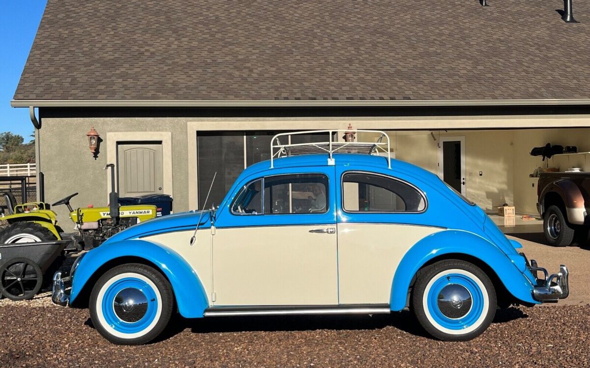 Volkswagen Beetle - Classic Berline 1961