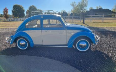Volkswagen-Beetle-Classic-Berline-1961-15