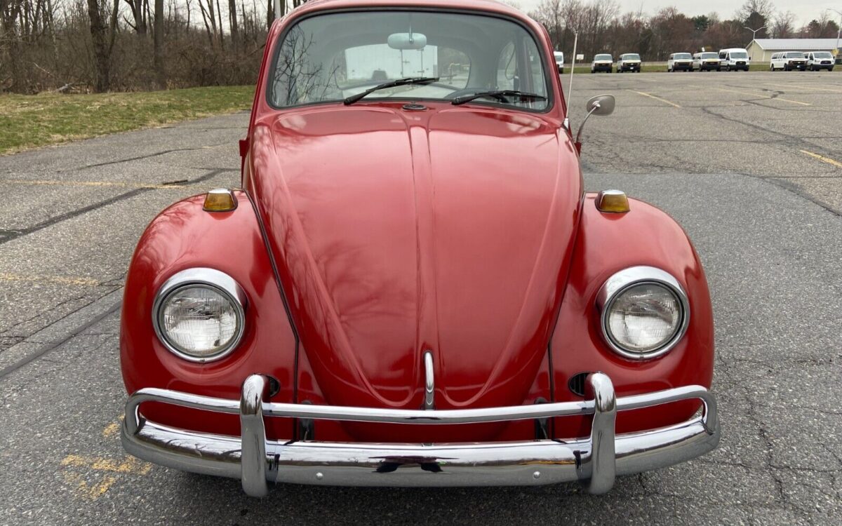 Volkswagen-Beetle-Classic-Berline-1967-13