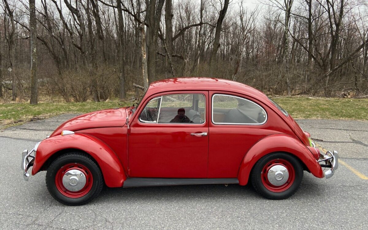 Volkswagen-Beetle-Classic-Berline-1967-4