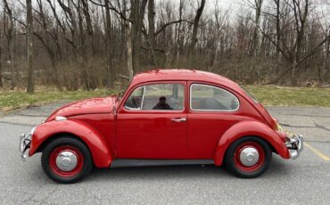 Volkswagen-Beetle-Classic-Berline-1967-4