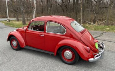 Volkswagen-Beetle-Classic-Berline-1967-5