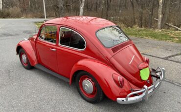 Volkswagen-Beetle-Classic-Berline-1967-6