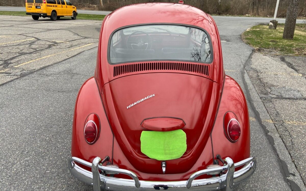 Volkswagen-Beetle-Classic-Berline-1967-8