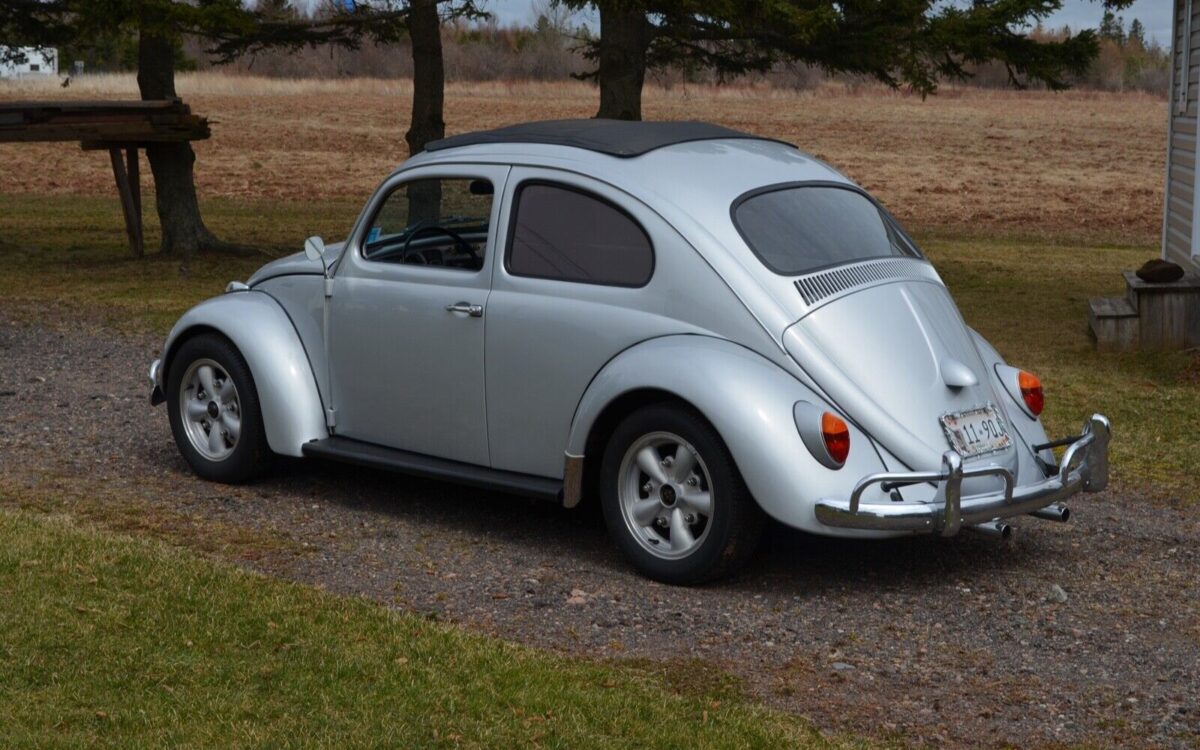 Volkswagen Beetle - Classic Break 1963