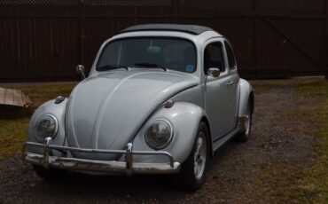 Volkswagen-Beetle-Classic-Break-1963-2