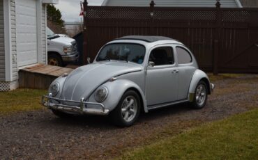 Volkswagen-Beetle-Classic-Break-1963-3
