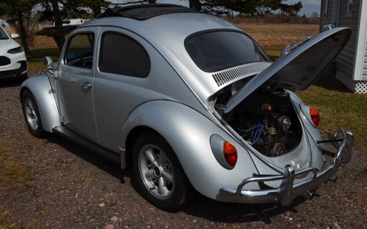 Volkswagen-Beetle-Classic-Break-1963-7