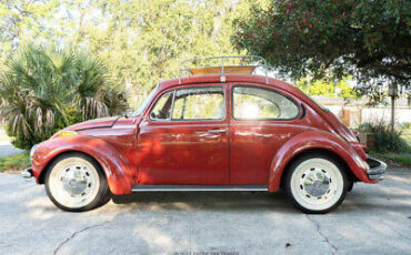 Volkswagen-Super-Beetle-1973-2