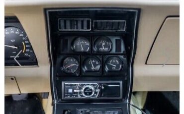 Chevrolet-Corvette-1978-7