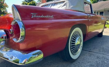 Ford-Thunderbird-1955-6