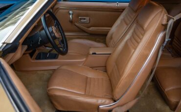 Pontiac-Firebird-Trans-Am-4-spd-400-6.6L-V8-Coupe-1978-28