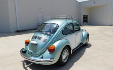 Volkswagen-Beetle-New-1973-10
