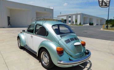 Volkswagen-Beetle-New-1973-8